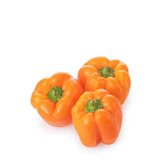 Capsicum Orange