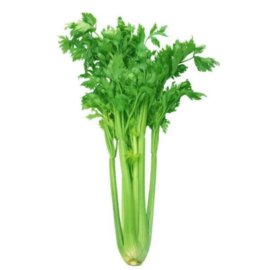 Celery