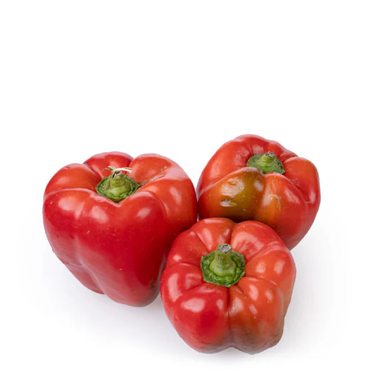 Red Capsicum