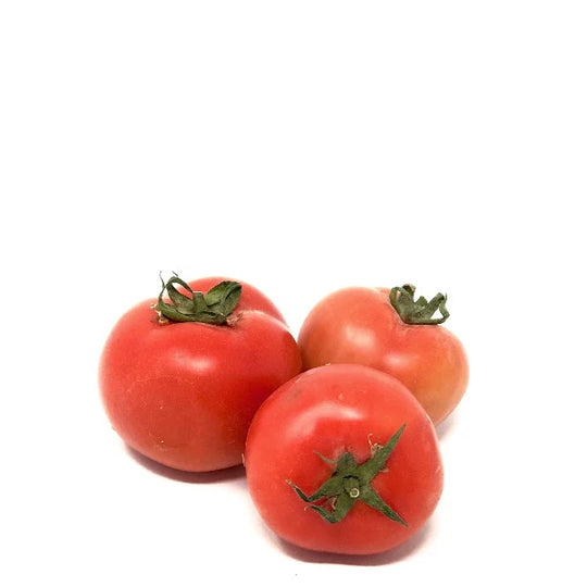 Tomato Greenhouse