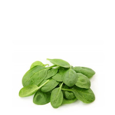 Baby Spinach Leaves Holland