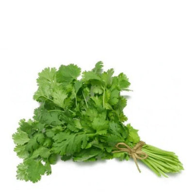 Coriander