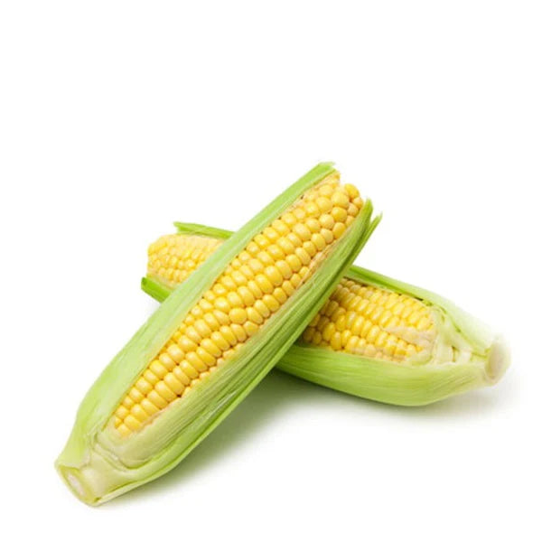 Sweet Corn Imported