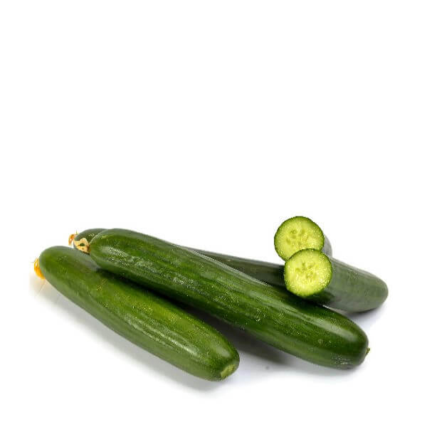 Cucumber Greenhouse