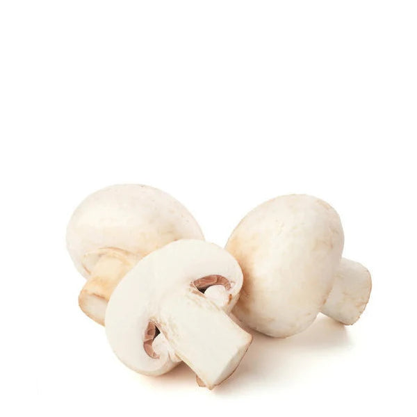 Mushroom White
