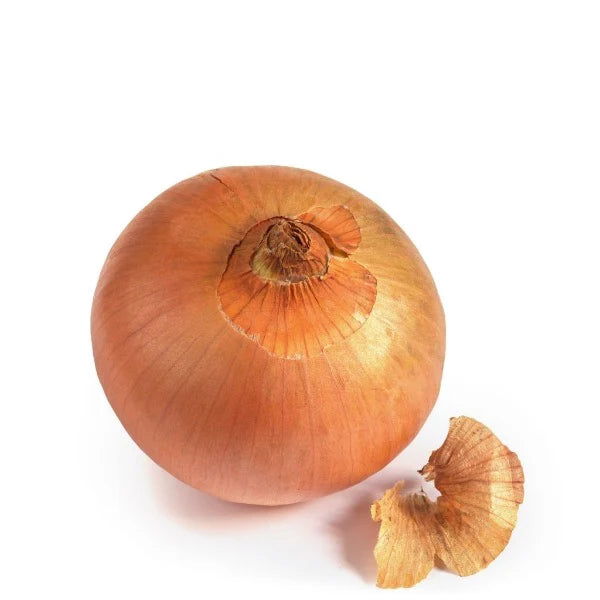 Yellow Onion