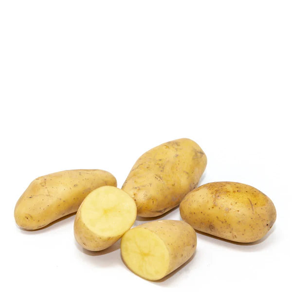 Potato Hermes (Frying)