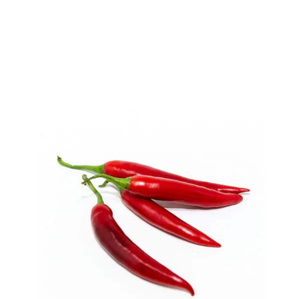 Red Chili Long